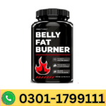 Unaltered Belly Fat Burner Soft Gels